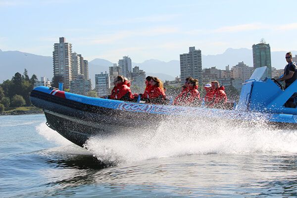 Vancouver City and Seals Scenic Boat Tour